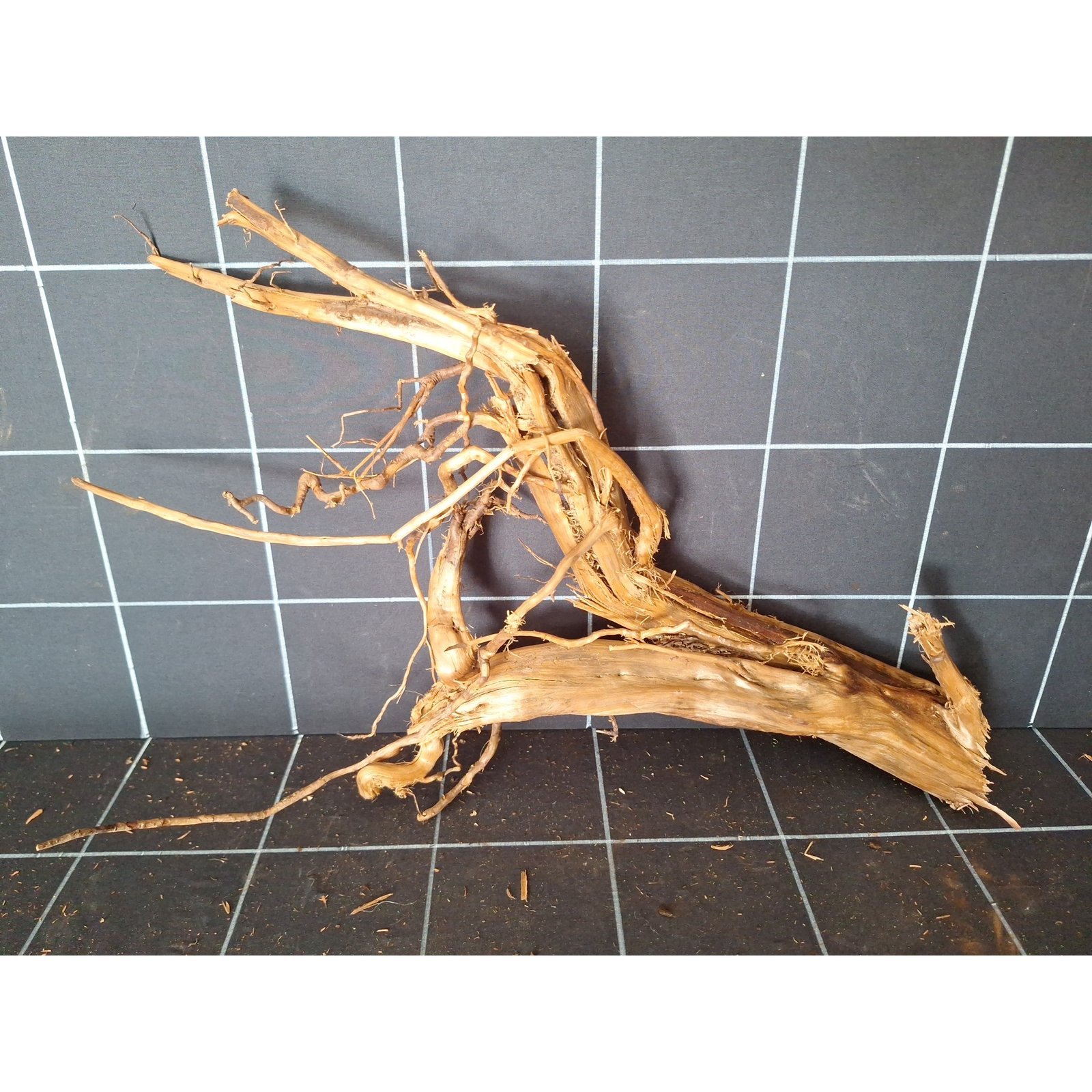 Tuskwood Aquarienwurzel aus echtem Moorholz, 55 cm, P142618