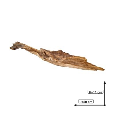 Måttsatt bild av Tuskwood akvarierot äkta bogwood 50 cm P142619