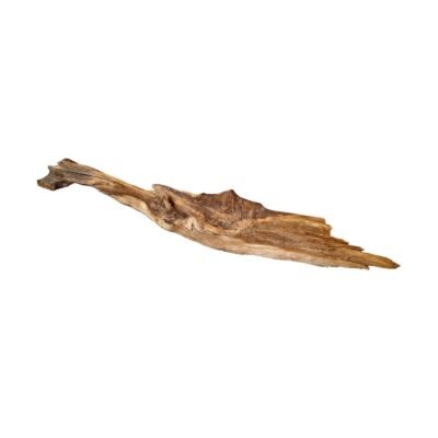 Frilagd Tuskwood akvarierot WYSIWYG äkta bogwood 50 cm P142619 mot vit bakgrund