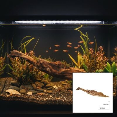 Tuskwood Akvarierot WYSIWYG Äkta Bogwood Unik 50 cm P142619