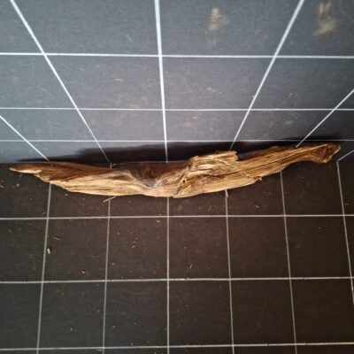 Tuskwood akvarierot äkta bogwood 50 cm P142619 sedd ovanifrån