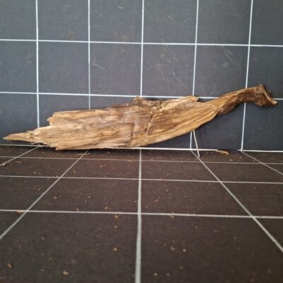 Tuskwood akvarierot äkta bogwood 50 cm P142619 sedd bakifrån