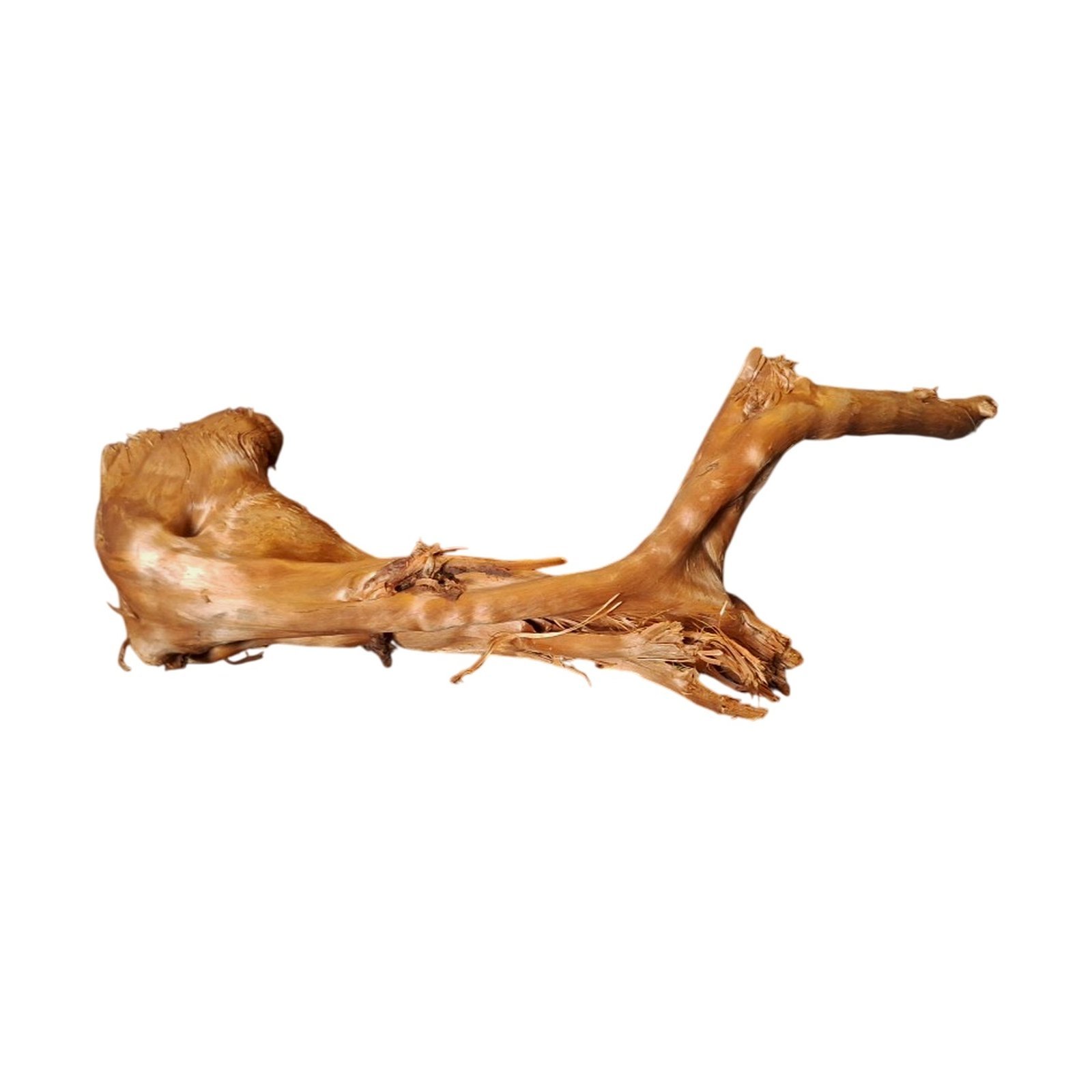 Tuskwood Akvarierot WYSIWYG Äkta Bogwood Unik 38 cm P142620 - Billede 6