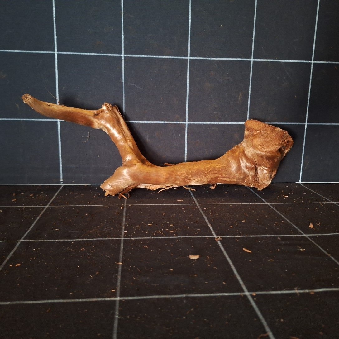 Tuskwood Akvarierot WYSIWYG Äkta Bogwood Unik 38 cm P142620 - Billede 5