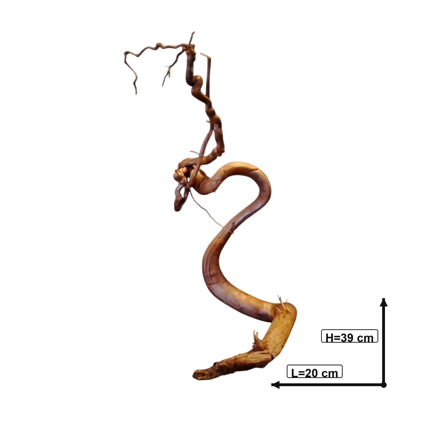Tuskwood Akvarierot WYSIWYG Äkta Bogwood Unik 39 cm P142621 - Afbeelding 3