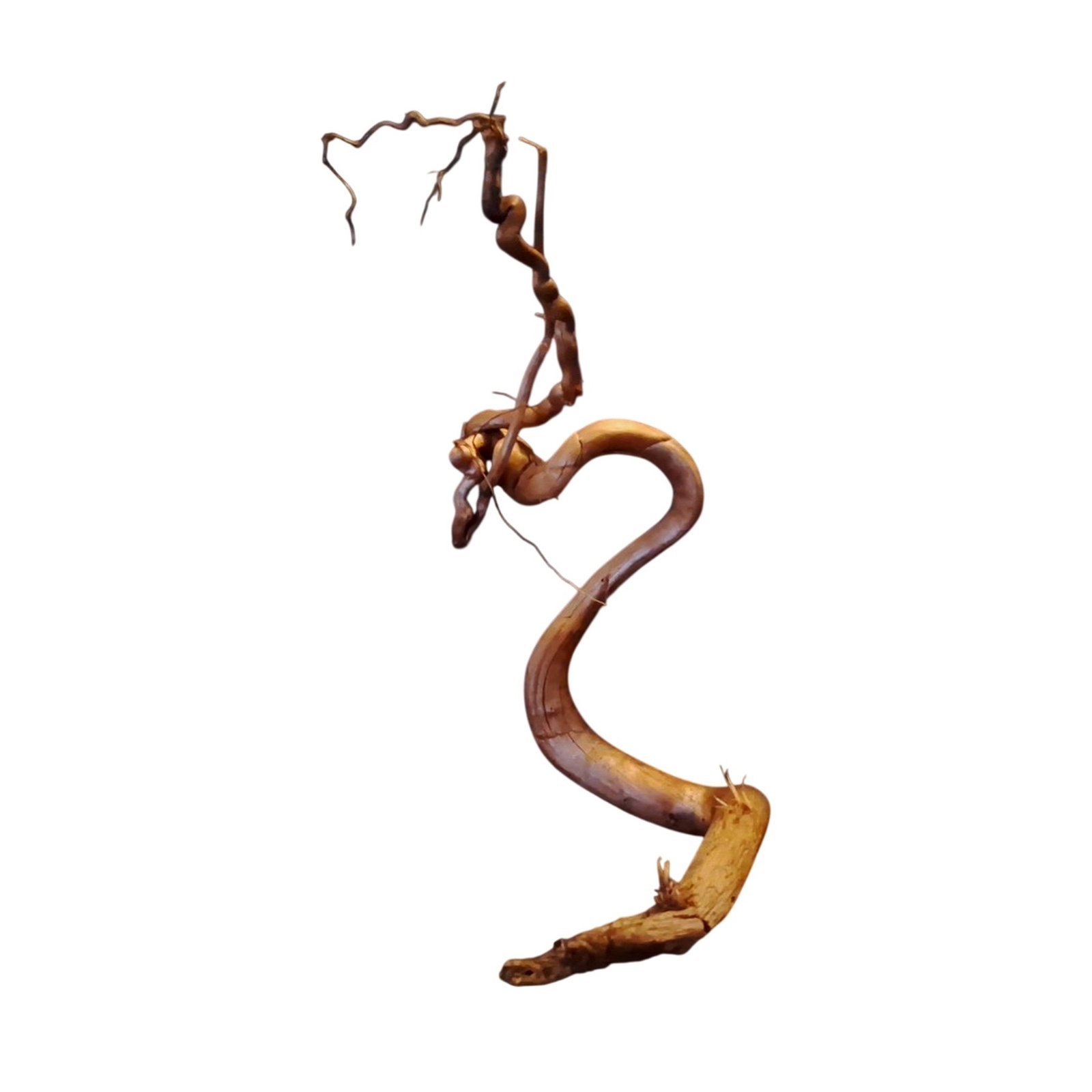 Tuskwood Akvarierot WYSIWYG Äkta Bogwood Unik 39 cm P142621 - Afbeelding 7
