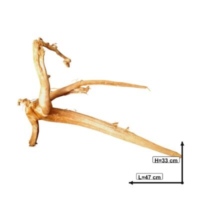Tuskwood akvarierot i äkta bogwood, 47 cm, P152618
