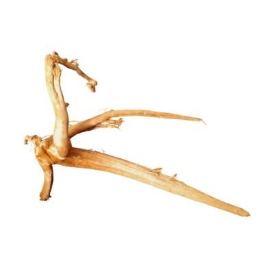 Tuskwood akvarierot i äkta bogwood, 47 cm, P152618