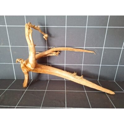 Tuskwood akvarierot i äkta bogwood, 47 cm, P152618