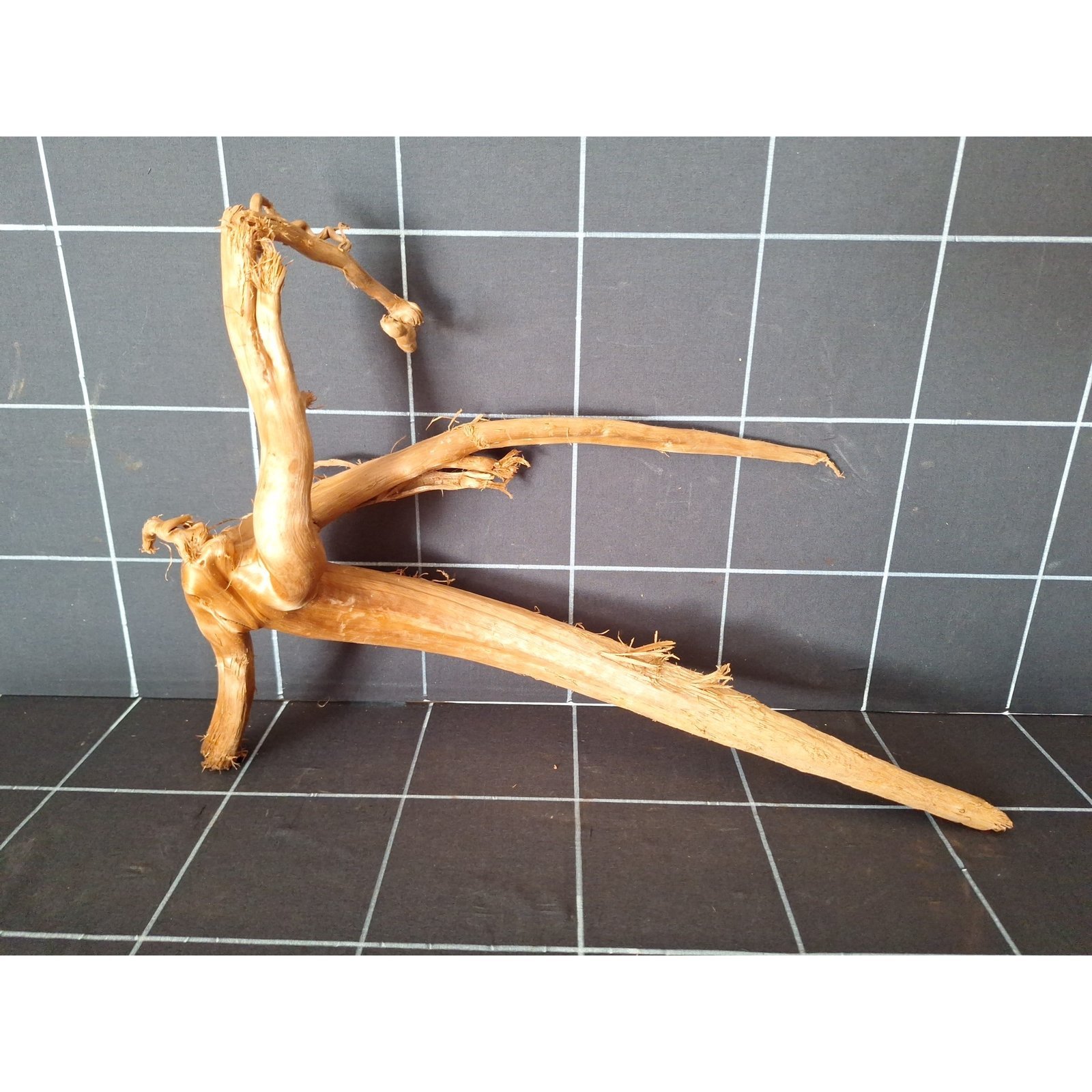 Tuskwood akvarierot i äkta bogwood, 47 cm, P152618