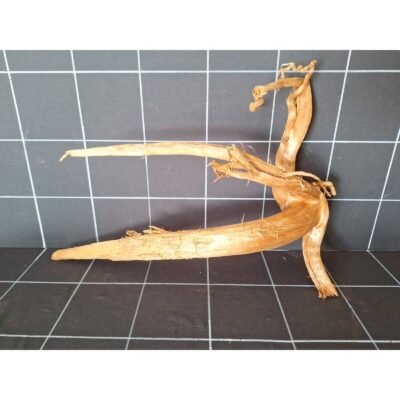 Tuskwood akvarierot i äkta bogwood, 47 cm, P152618