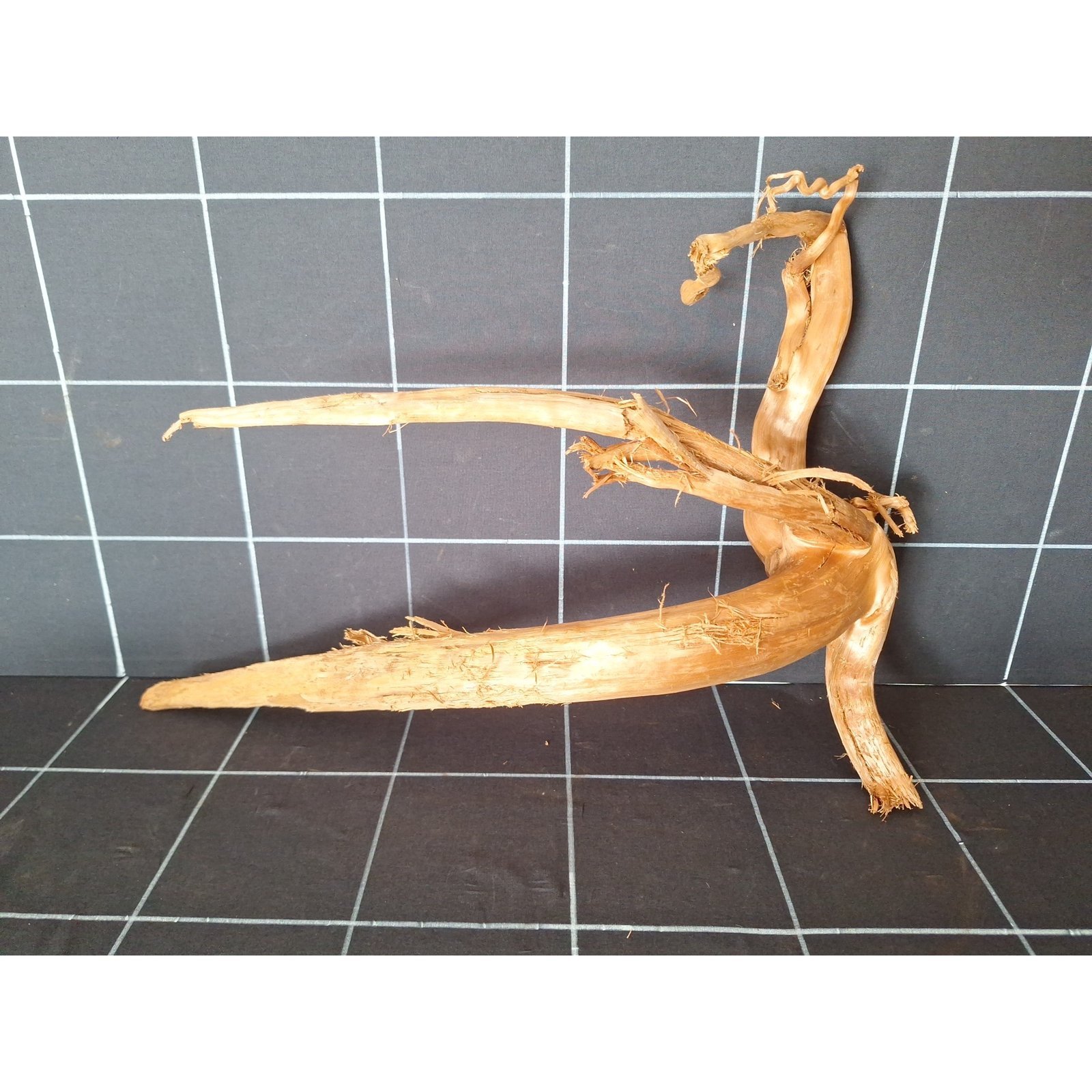Tuskwood akvarierot i äkta bogwood, 47 cm, P152618