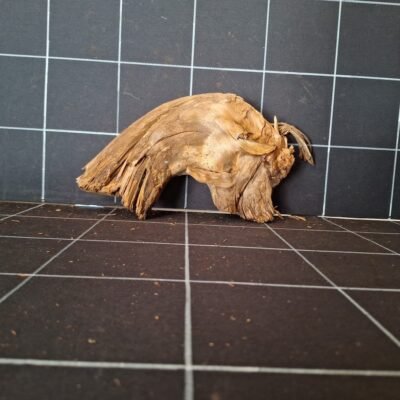 Tuskwood akvarierot äkta bogwood 27 cm P152619 sedd framifrån