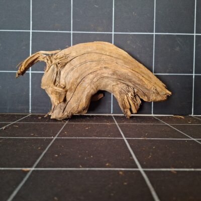 Tuskwood akvarierot äkta bogwood 27 cm P152619 sedd bakifrån