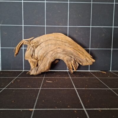 Tuskwood akvarierot WYSIWYG äkta bogwood 27 cm P152619
