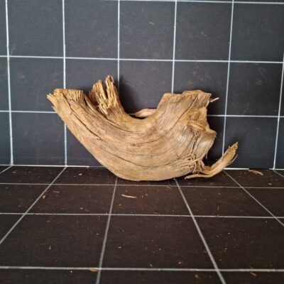 Tuskwood akvarierot WYSIWYG äkta bogwood 27 cm P152619