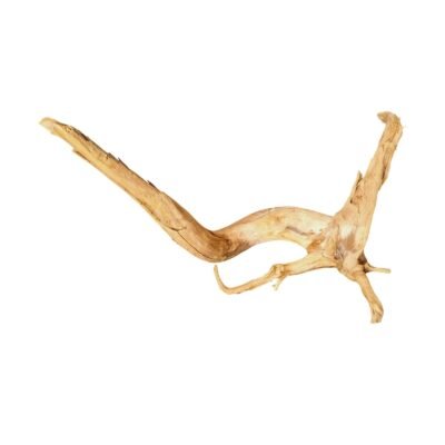 Tuskwood akvarierot i äkta bogwood, 40 cm, P162618