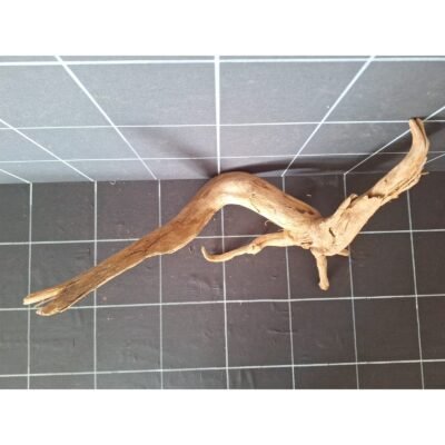 Tuskwood akvarierot i äkta bogwood, 40 cm, P162618