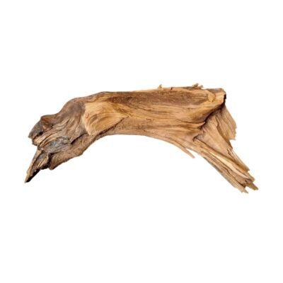 Freigestellte Tuskwood Aquariumwurzel aus echtem Moorkienholz 35 cm P162619 auf weißem Hintergrund