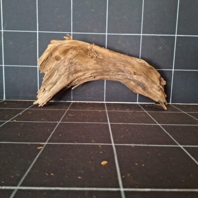 Rückansicht der Tuskwood Moorkienwurzel für das Aquarium 35 cm P162619