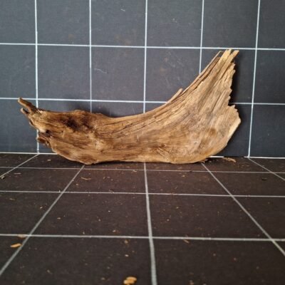 Tuskwood WYSIWYG Moorkienwurzel für Aquarium und Aquascaping 35 cm P162619