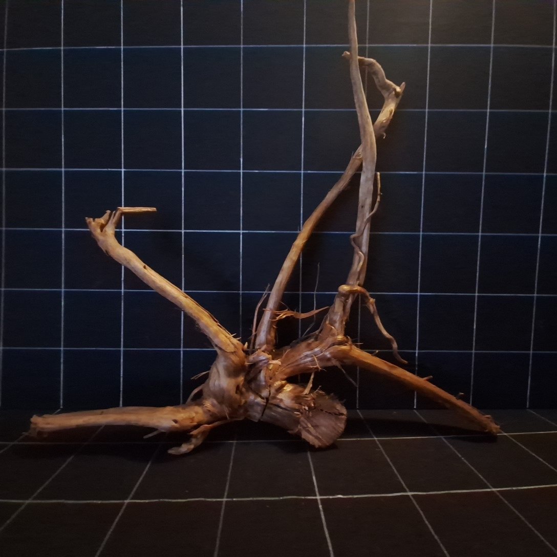 Tuskwood Akvarierot WYSIWYG Äkta Bogwood Unik 60 cm P162621 – Bild 5