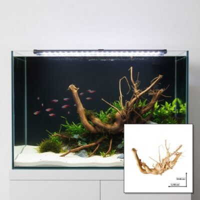 Tuskwood akvarierod i ægte mosetræ, 58 cm, P172618