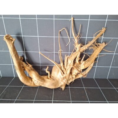 Tuskwood Aquarienwurzel aus echtem Moorholz, 58 cm, P172618
