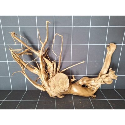 Tuskwood Aquarienwurzel aus echtem Moorholz, 58 cm, P172618