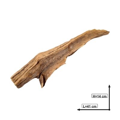 Bemaßtes Bild der Tuskwood Aquariumwurzel aus echtem Moorkienholz 41 cm P172619