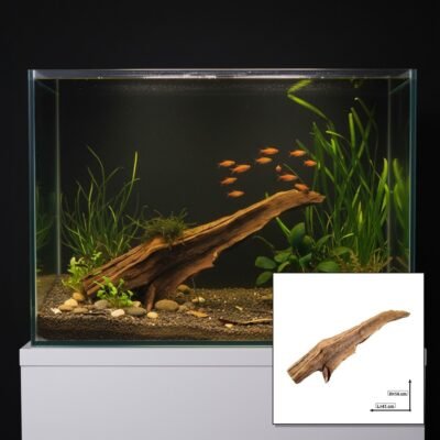 Tuskwood Akvarierot WYSIWYG Äkta Bogwood Unik 41 cm P172619