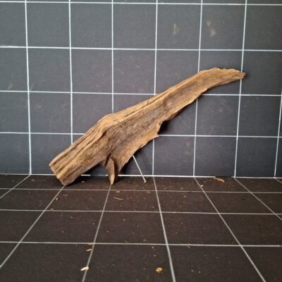 Vorderansicht der Tuskwood Moorkienwurzel für das Aquarium 41 cm P172619