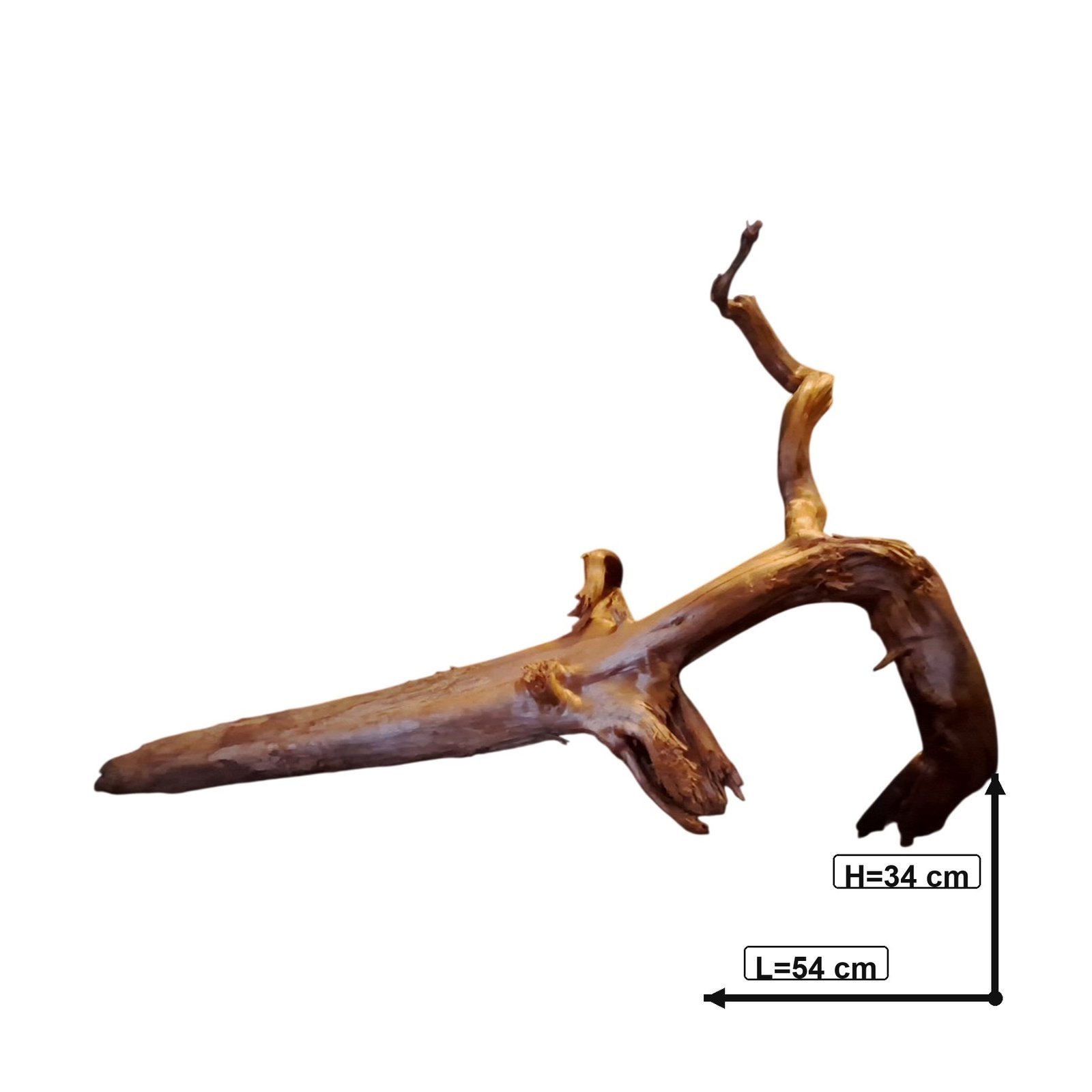 Tuskwood Akvarierot WYSIWYG Äkta Bogwood Unik 54 cm P172621 - Afbeelding 3