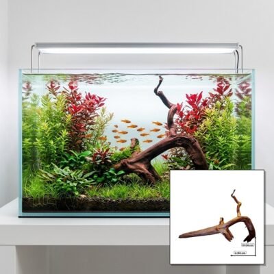 Tuskwood Korzeń akwariowy WYSIWYG Genuine Bogwood Unique 54 cm P172621