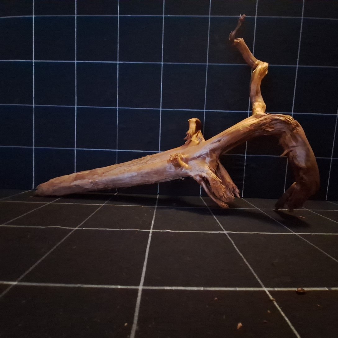 Tuskwood Akvarierot WYSIWYG Äkta Bogwood Unik 54 cm P172621 - Afbeelding 4