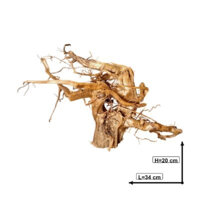 Måttsatt bild av Tuskwood akvarierot äkta bogwood 34 cm P182619
