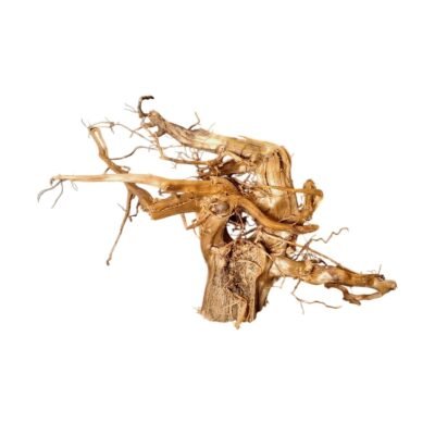 Frilagd Tuskwood akvarierot WYSIWYG äkta bogwood 34 cm P182619 mot vit bakgrund