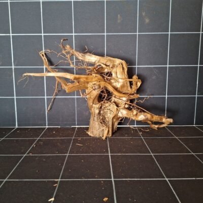 Tuskwood akvarierot äkta bogwood 34 cm P182619 sedd framifrån