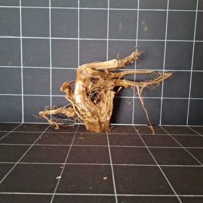 Tuskwood akvarierot äkta bogwood 34 cm P182619 sedd bakifrån