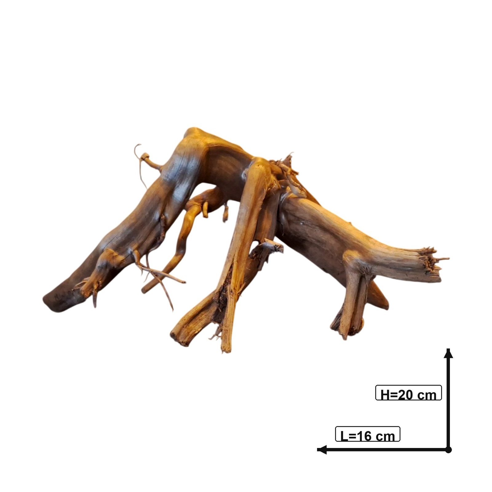 Tuskwood Akvarierot WYSIWYG Äkta Bogwood Unik 20 cm P182620 – Bild 5