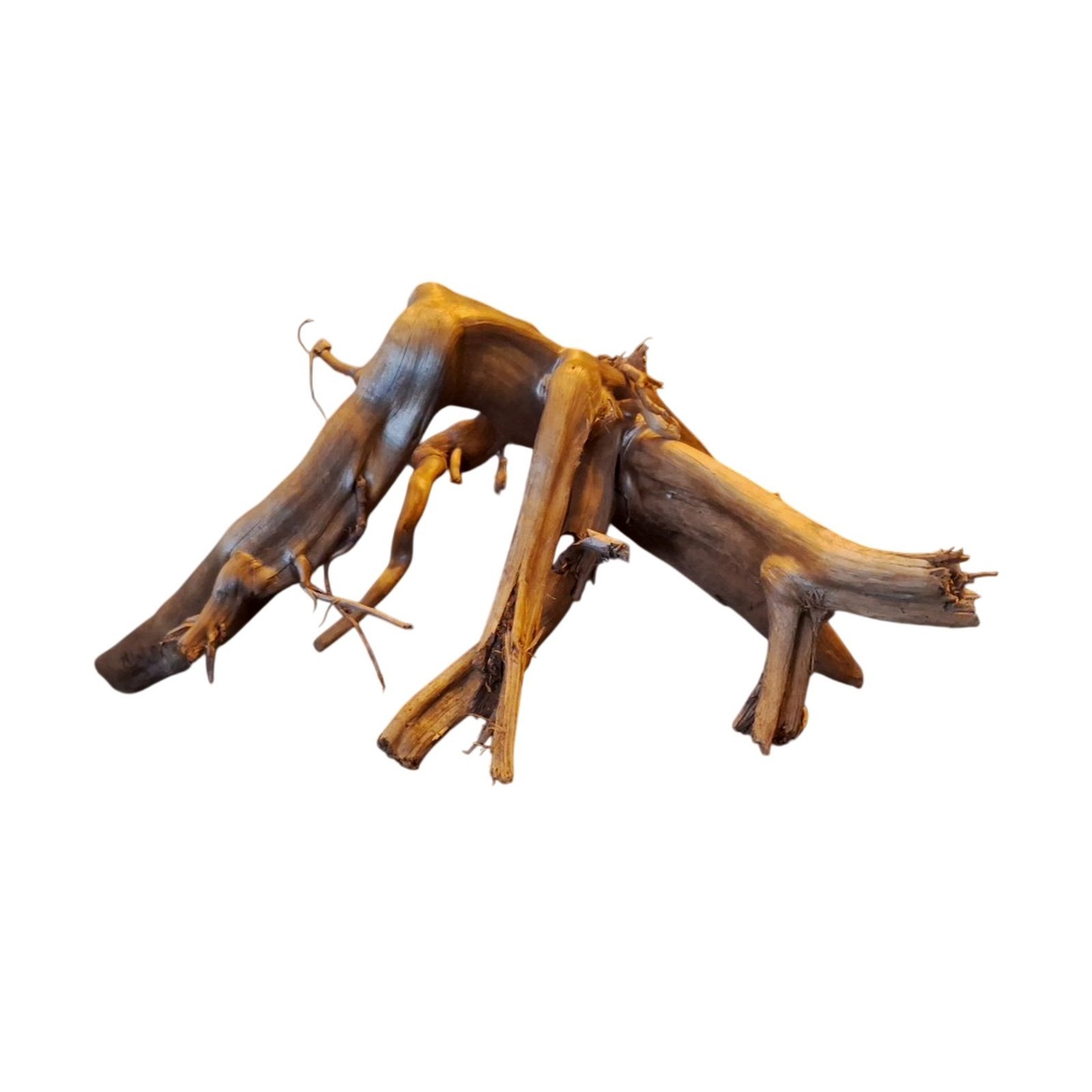Tuskwood Akvarierot WYSIWYG Äkta Bogwood Unik 20 cm P182620 – Bild 10