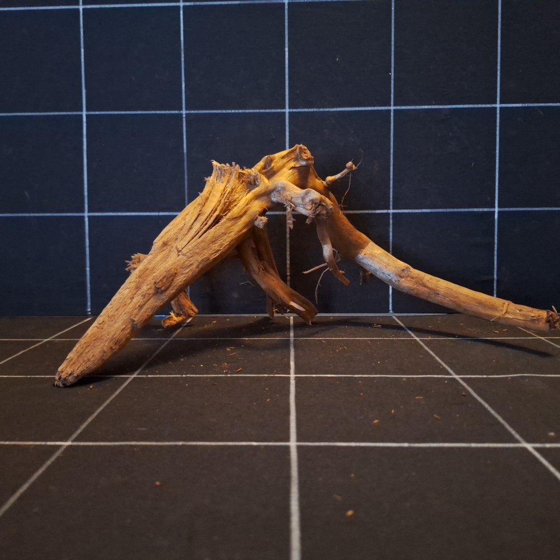 Tuskwood Akvarierot WYSIWYG Äkta Bogwood Unik 20 cm P182620 – Bild 7