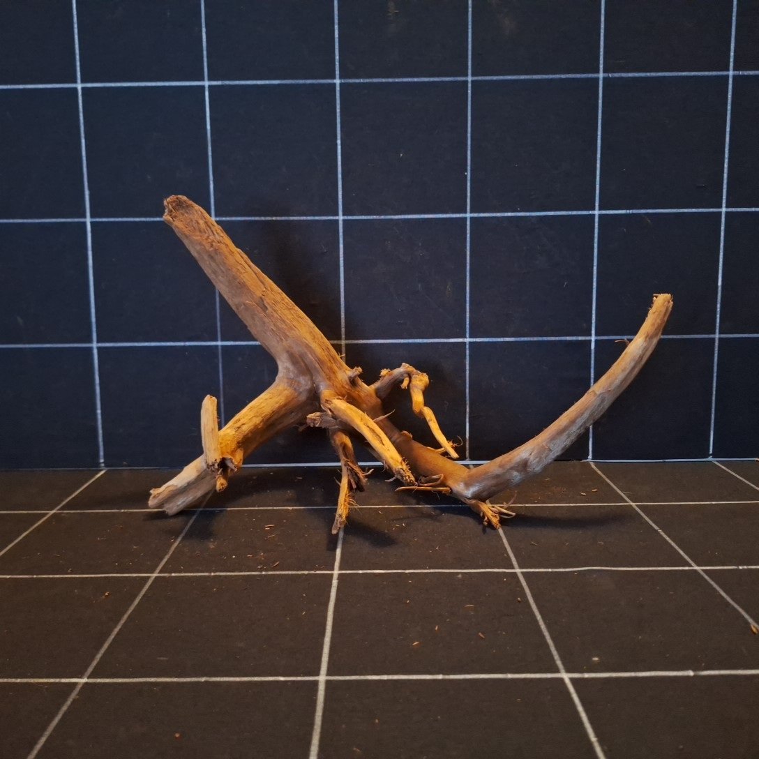 Tuskwood Akvarierot WYSIWYG Äkta Bogwood Unik 20 cm P182620 – Bild 8