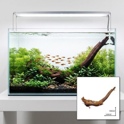 Tuskwood Akvaario Juuri WYSIWYG Aito Bogwood Unique 57 cm P182621