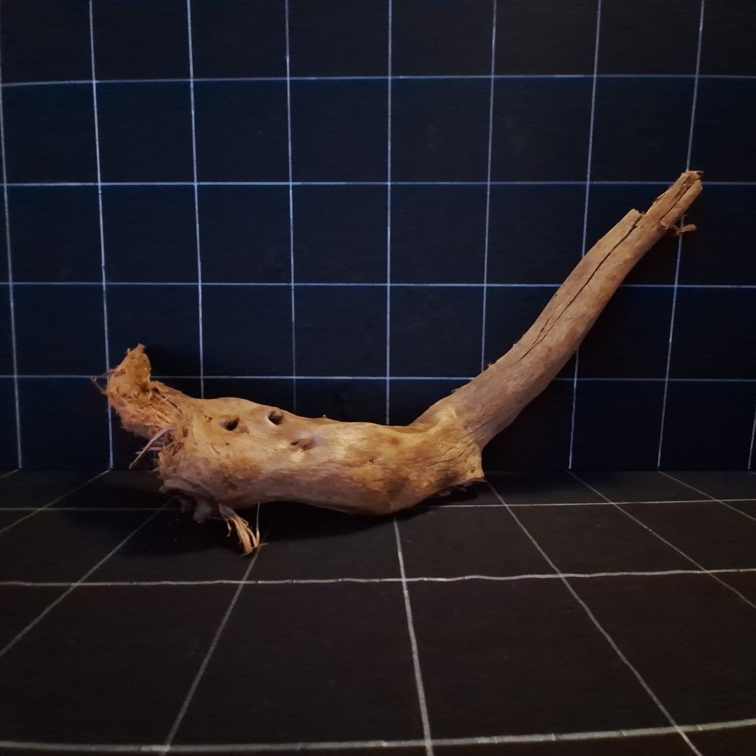 Tuskwood Akvarierot WYSIWYG Äkta Bogwood Unik 57 cm P182621 - Billede 4