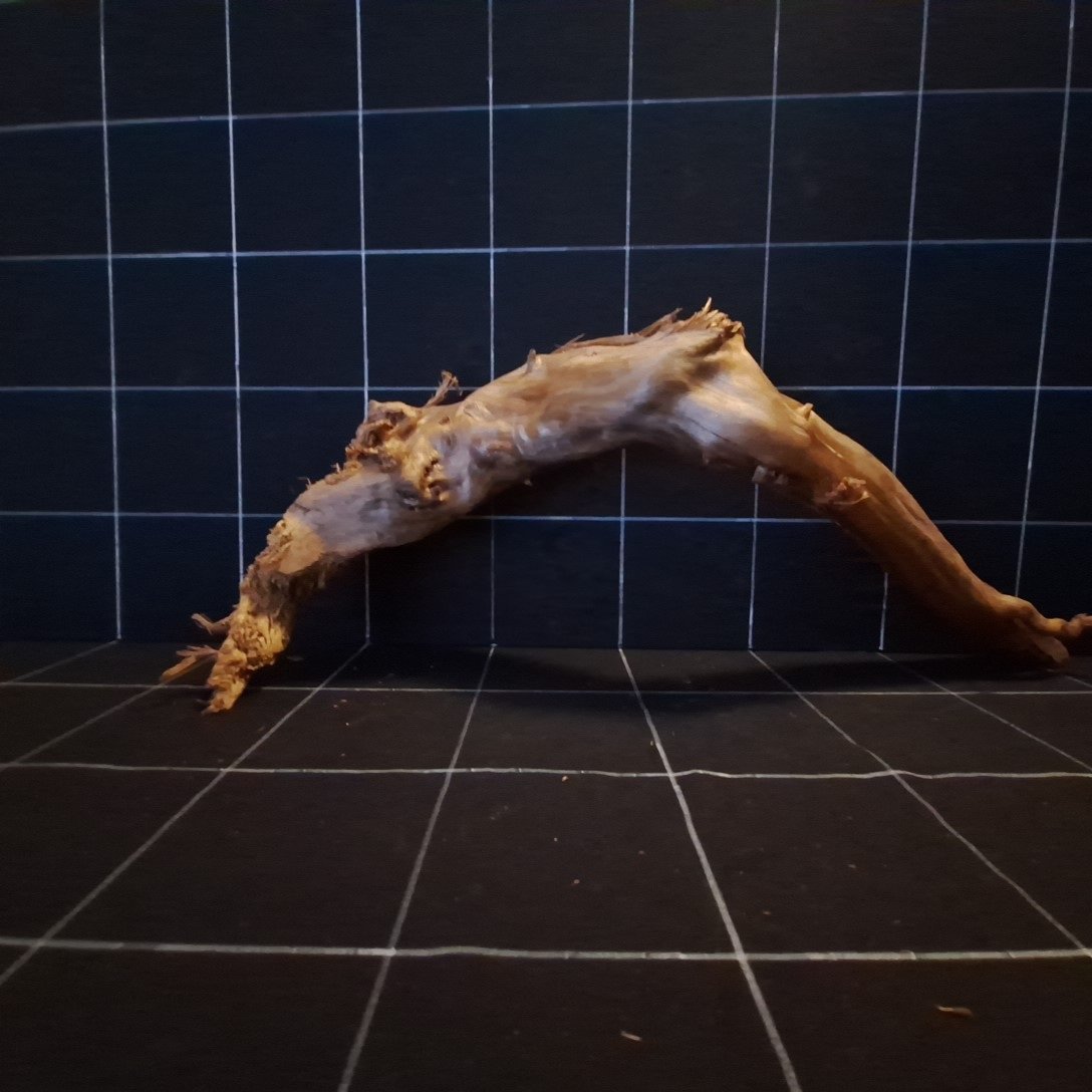 Tuskwood Akvarierot WYSIWYG Äkta Bogwood Unik 57 cm P182621 - Billede 6
