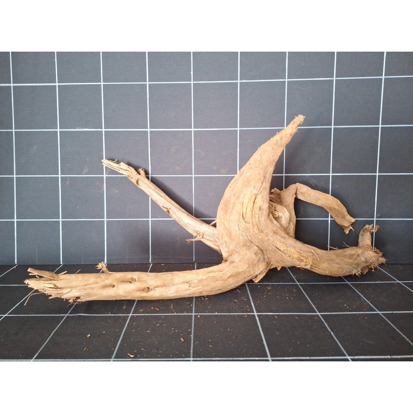 Tuskwood Aquarienwurzel aus echtem Moorholz, 64 cm, P192618