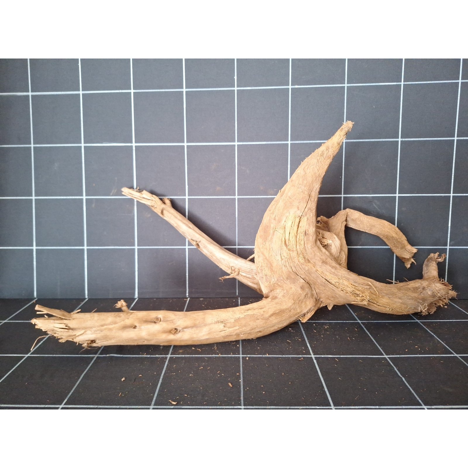 Tuskwood Aquarienwurzel aus echtem Moorholz, 64 cm, P192618