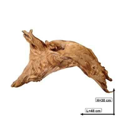 Måttsatt bild av Tuskwood akvarierot äkta bogwood 48 cm P192619