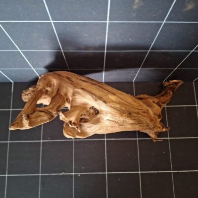 Tuskwood akvarierot äkta bogwood 48 cm P192619 sedd ovanifrån